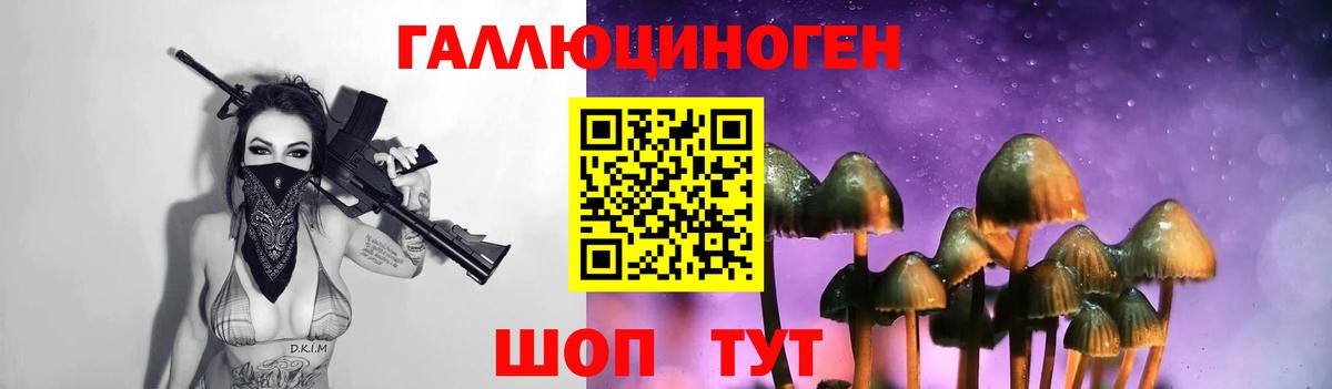 Солнечногорск  Галлюциногенные грибы Psilocybine cubensis  где купить   Вход с VPN 